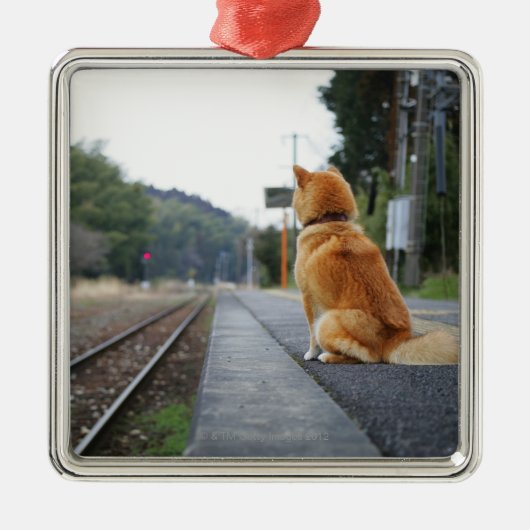 駅に坐っている犬 メタルオーナメント (正面)