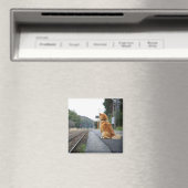 駅に座っている犬 マグネット (インサイチュ (食洗機))