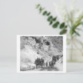 駅馬車の来山の行列 ポストカード (スタンド正面)