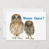 駆け落ちしたフクロウのデュオ 案内状 (正面)