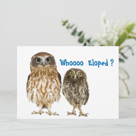 駆け落ちしたフクロウのデュオ 案内状 (スタンド正面)