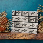 駆け足の馬で騎手、プレート627 'Animaから フォトプラーク (側面)