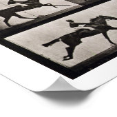 駆け足の馬で騎手、プレート627 'Animaから ポスター (角)