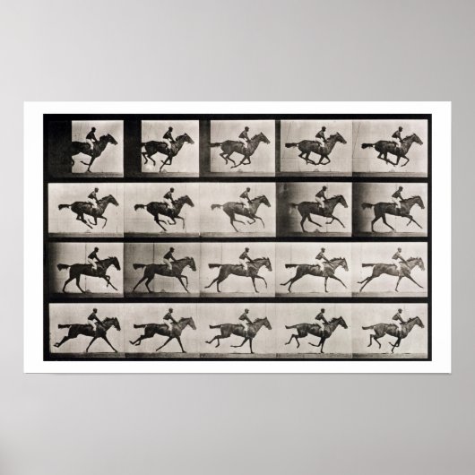 駆け足の馬で騎手、プレート627 'Animaから ポスター (正面)