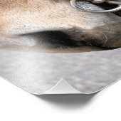 駆動ビット フォトプリント            (角)