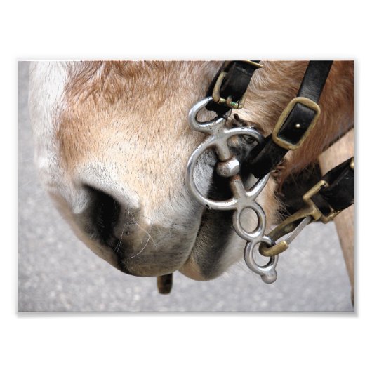 駆動ビット フォトプリント            (正面)