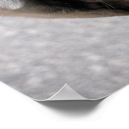 駆動ビット ポスター (角)