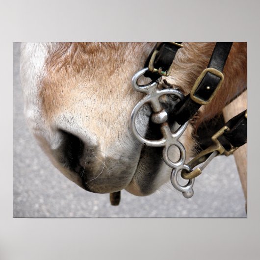 駆動ビット ポスター (正面)