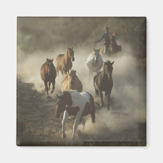 駆動磁石 マグネット