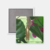 駆除磁石 マグネット (正面/裏面)