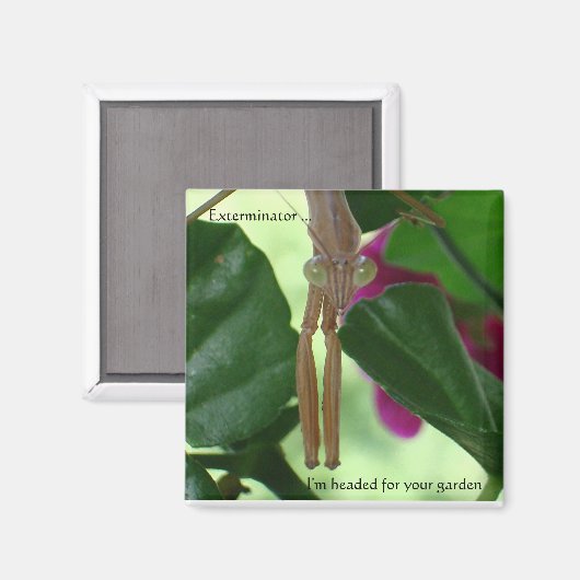 駆除磁石 マグネット (正面/裏面)