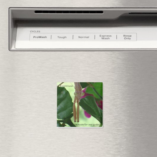 駆除磁石 マグネット (インサイチュ (食洗機))