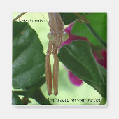 駆除磁石 マグネット (正面)