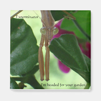 駆除磁石 マグネット