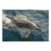 駐在員 フォトプリント            (正面)