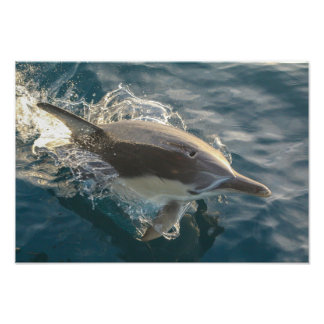 駐在員 フォトプリント           