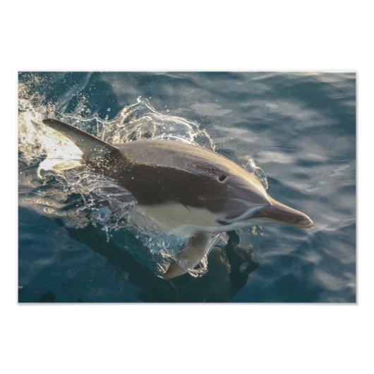 駐在員 フォトプリント            (正面)