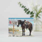 駐車場なし ポストカード (スタンド正面)