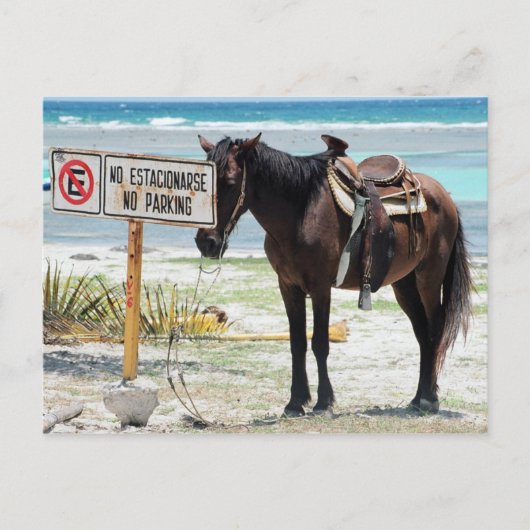 駐車場なし ポストカード (正面)