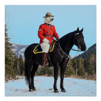 騎乗したRCMP巡査部長のホッキョクグマ ポスター