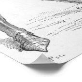 騎士フランスの ポスター (角)