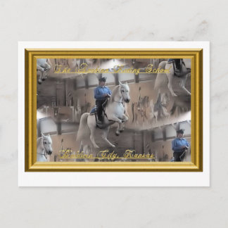 騎手と共に浮き上がる姿のポストカード ポストカード