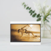 騎手乗娘 ポストカード (スタンド正面)