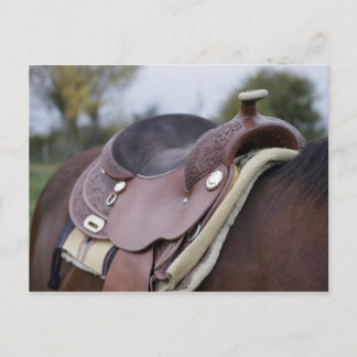 騎馬の鞍 ポストカード