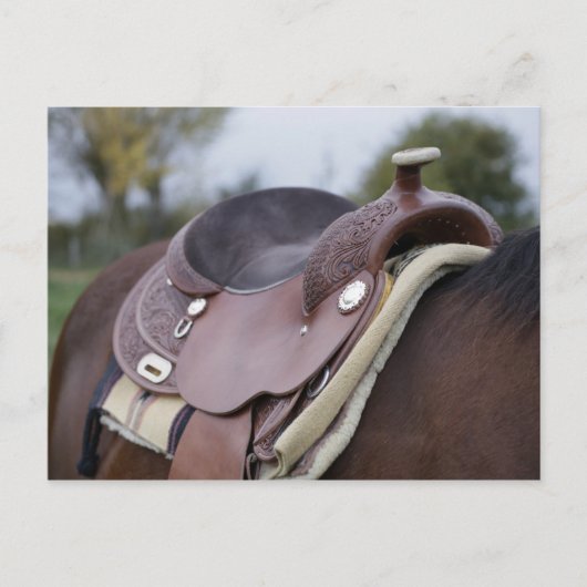 騎馬の鞍 ポストカード (正面)