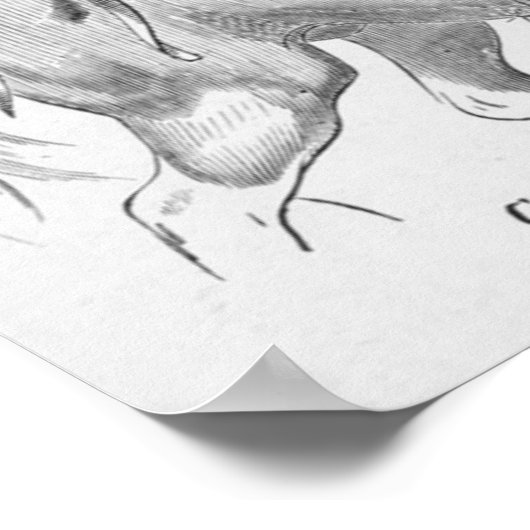 騎馬射手 ポスター (角)