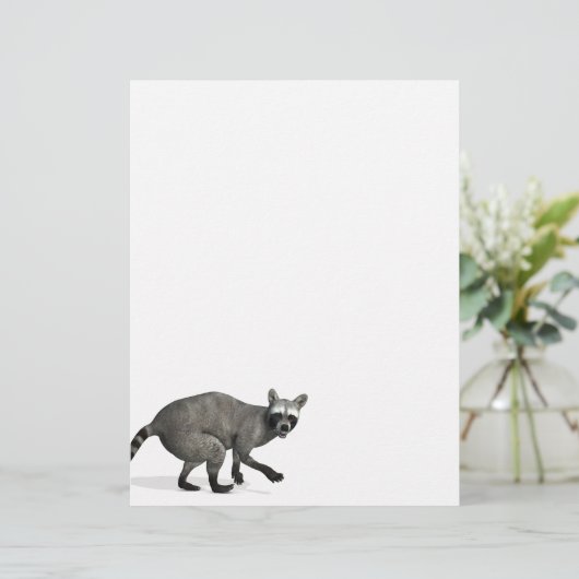 驚いたアライグマ (スタンド正面)