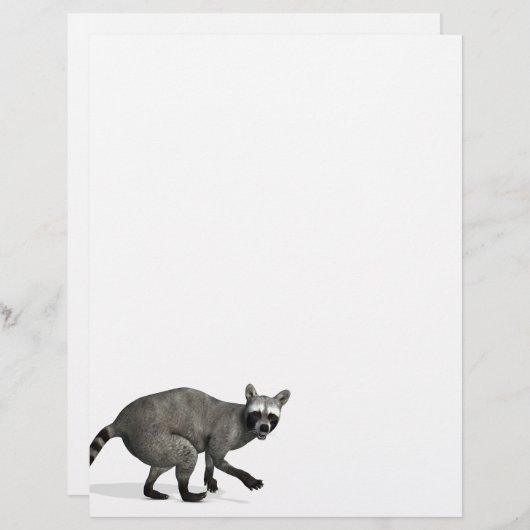 驚いたアライグマ (正面/裏面)