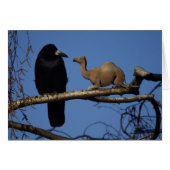 驚いたカラス (正面横)