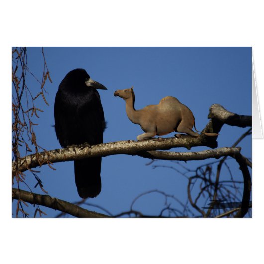 驚いたカラス (正面横)