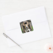 驚いたバセットハウンドの犬小屋 スクエアシール (封筒)