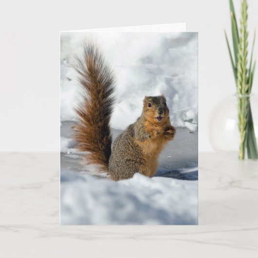 驚いたリス カード (正面)