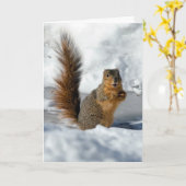 驚いたリス カード (黄色い花)
