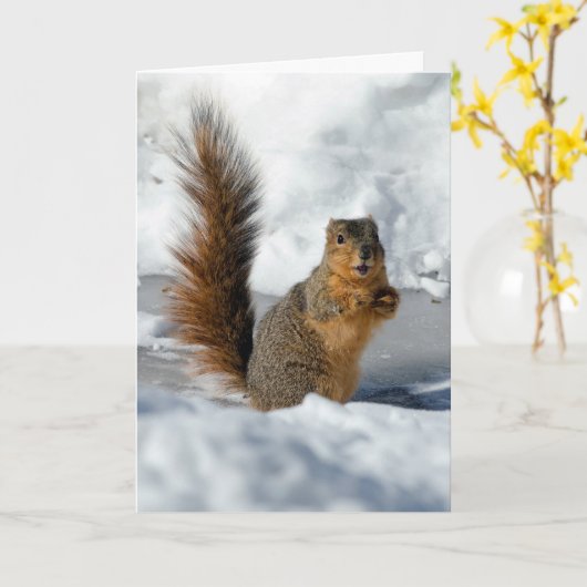 驚いたリス カード (黄色い花)