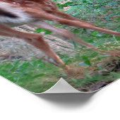 驚いた子鹿 ポスター (角)