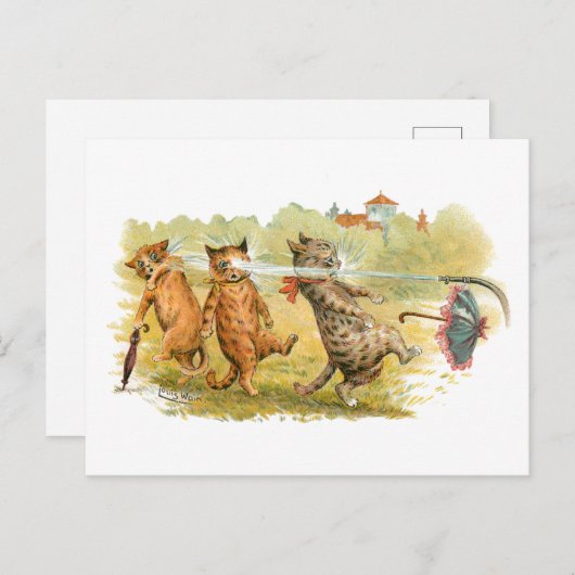 驚いた猫たちルイワーイン ポストカード (正面/裏面)