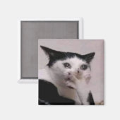 驚いた猫のミーム マグネット (正面/裏面)