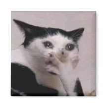 驚いた猫のミーム