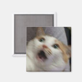 驚いた猫のミーム マグネット (正面/裏面)