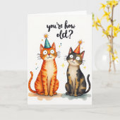 驚いた猫の誕生日カード カード (黄色い花)