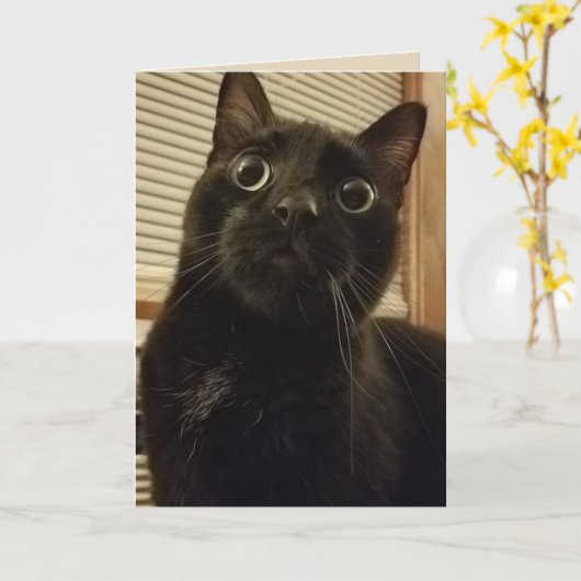 驚いた黒猫カード カード (黄色い花)