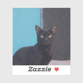 驚いた黒猫 シール