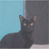 驚いた黒猫 シール (正面)