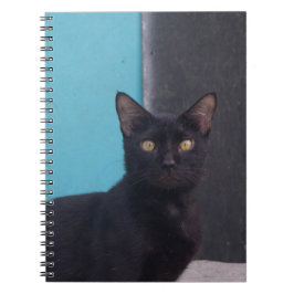 驚いた黒猫 ノートブック