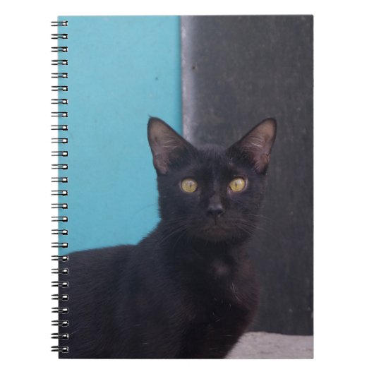 驚いた黒猫 ノートブック (正面)