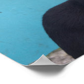 驚いた黒猫 ポスター (角)